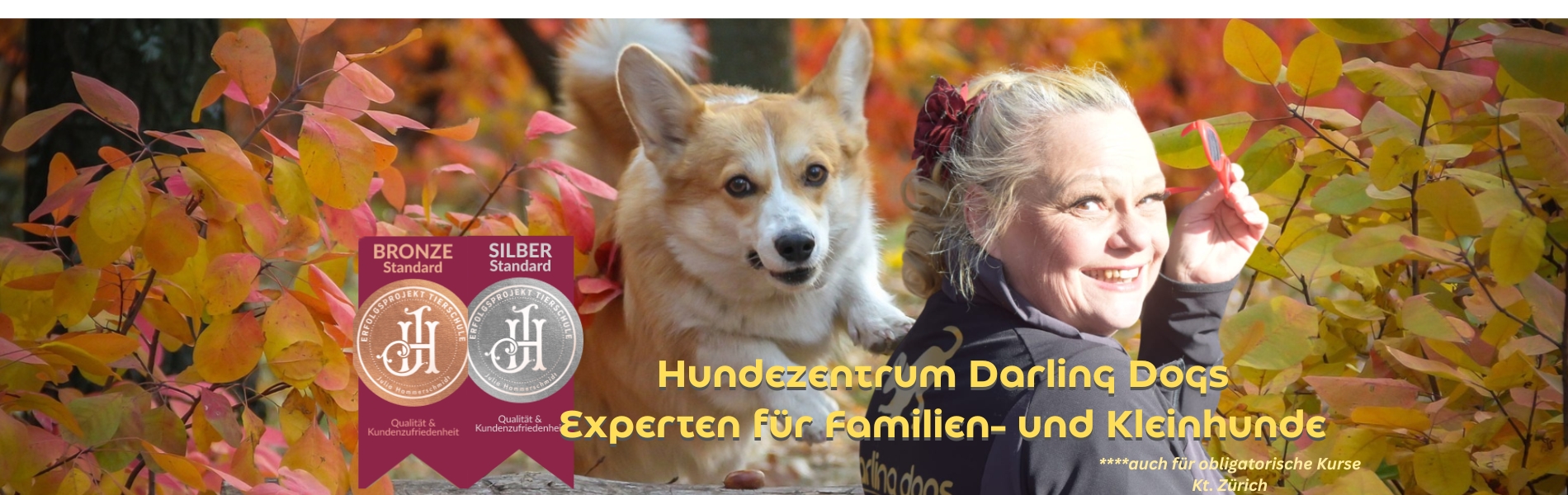 Banner Darling Dogs