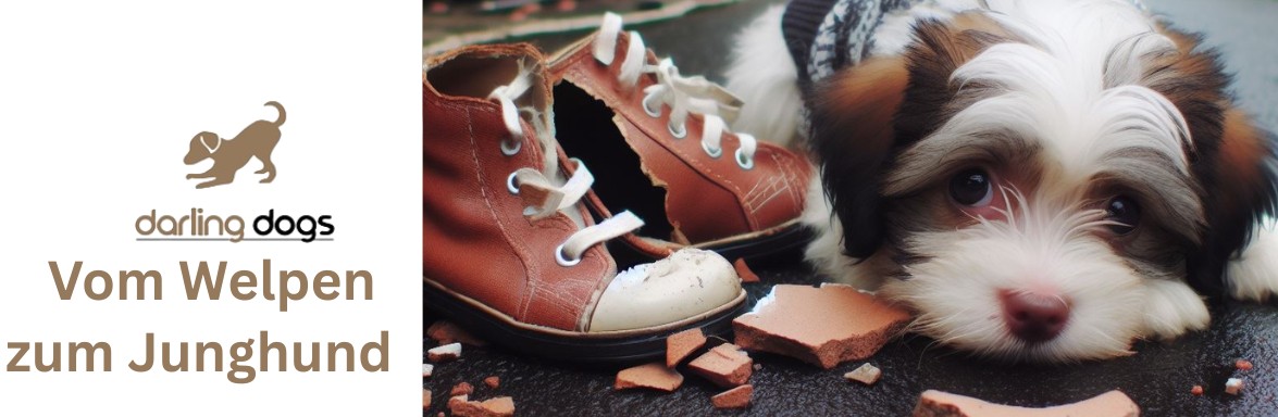 Banner Darling Dogs